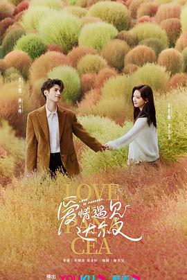 网站seo多少钱一年